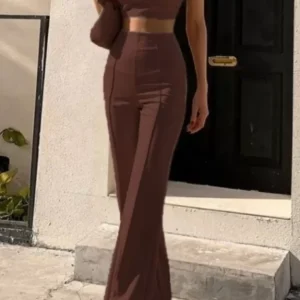 Set of 2-Cinnamon Brown Bustier Top With High Waist Pants